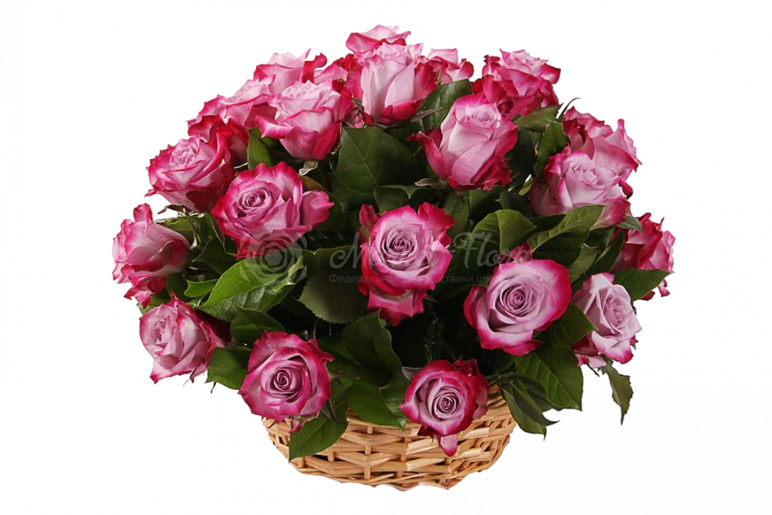 35 розовых роз Дип Перпл в корзине