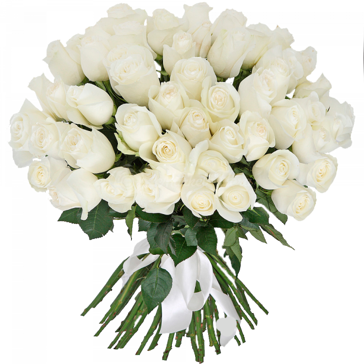 Букет из 51 розы белой