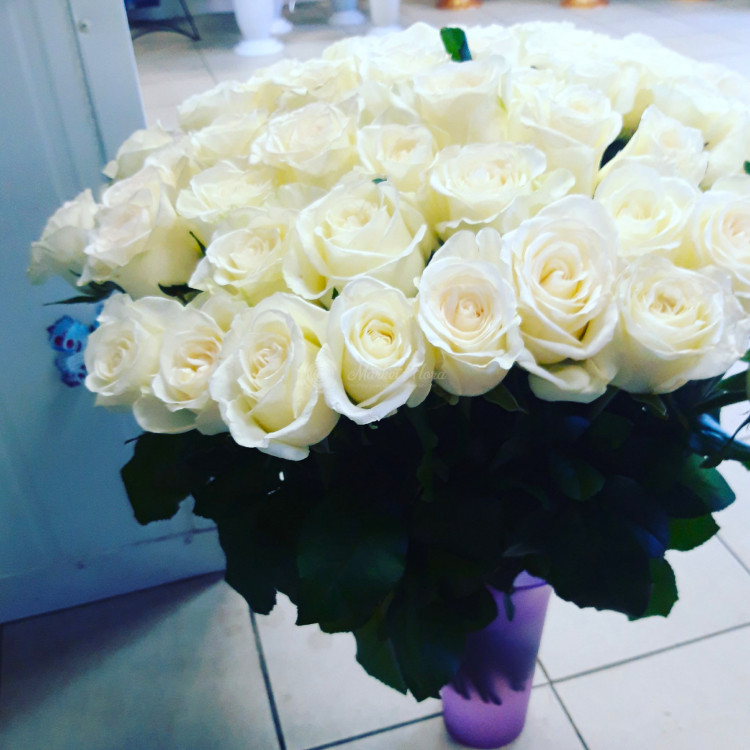 Букет из 51 розы белой