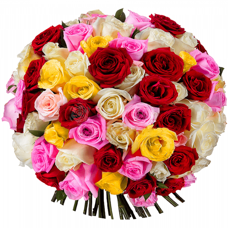 Букет из 101 разноцветной розы Эквадор