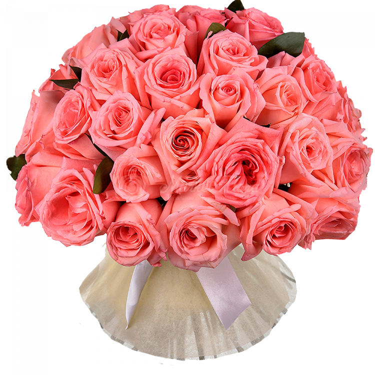 Букет из 51 розовой розы в фетре
